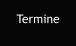 Termine